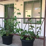 Apartment Nest *