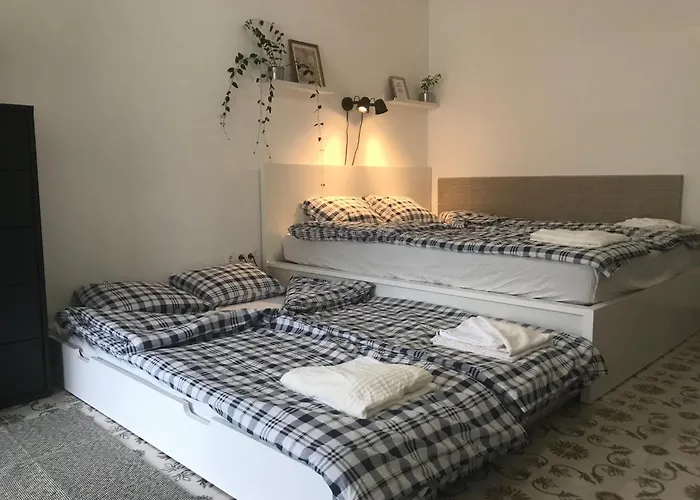 شقة Nest